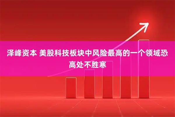 泽峰资本 美股科技板块中风险最高的一个领域恐高处不胜寒
